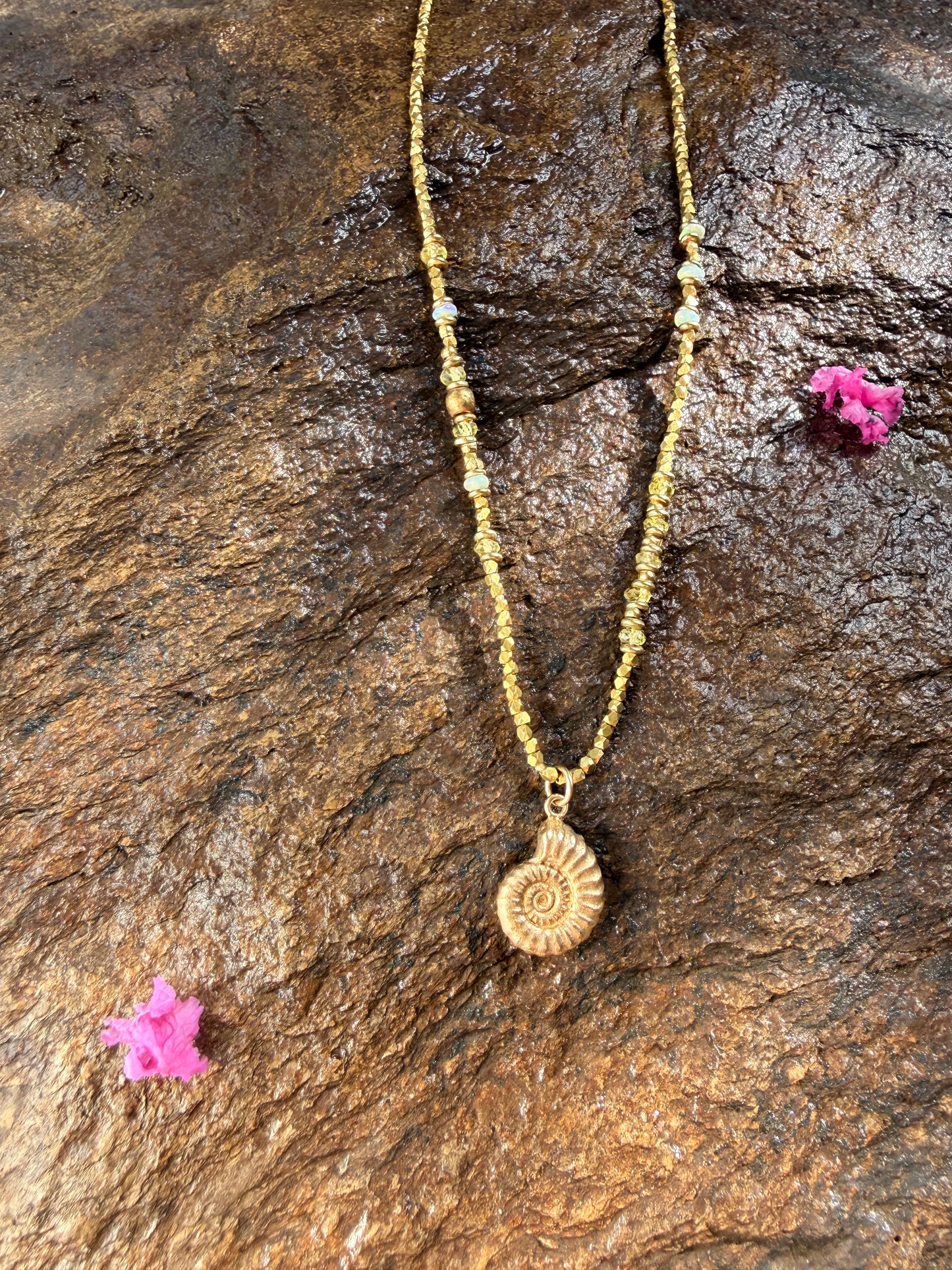 Ammonite + Crystals 🌀