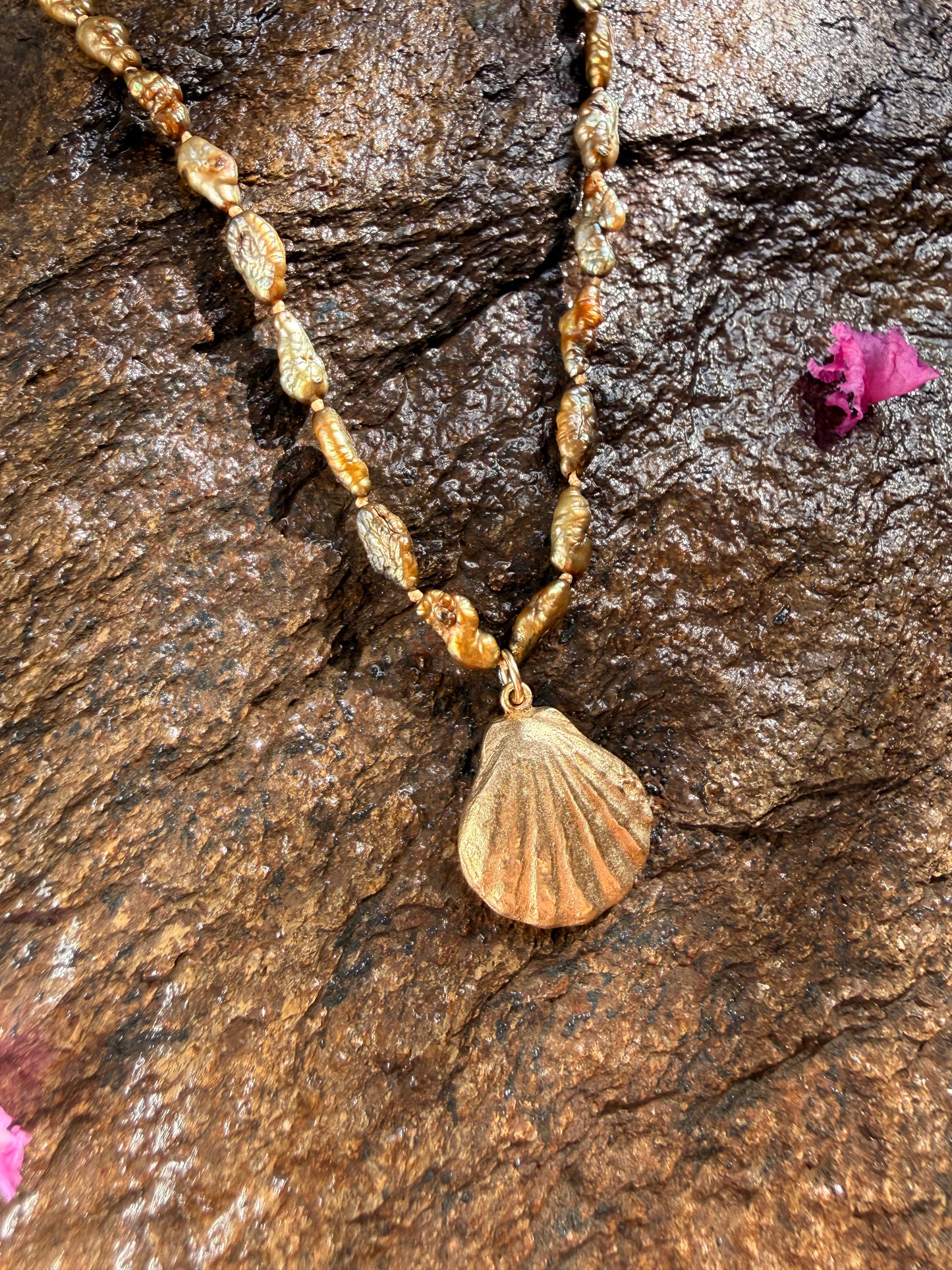 Bronze Sunrise Shell