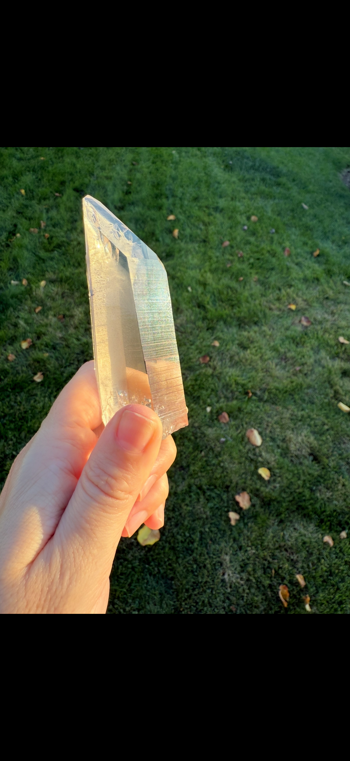 Large Phantom Lemurian Specimen