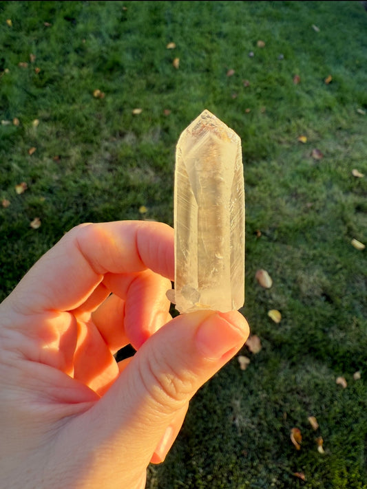 Small Phantom Lemurian Specimen