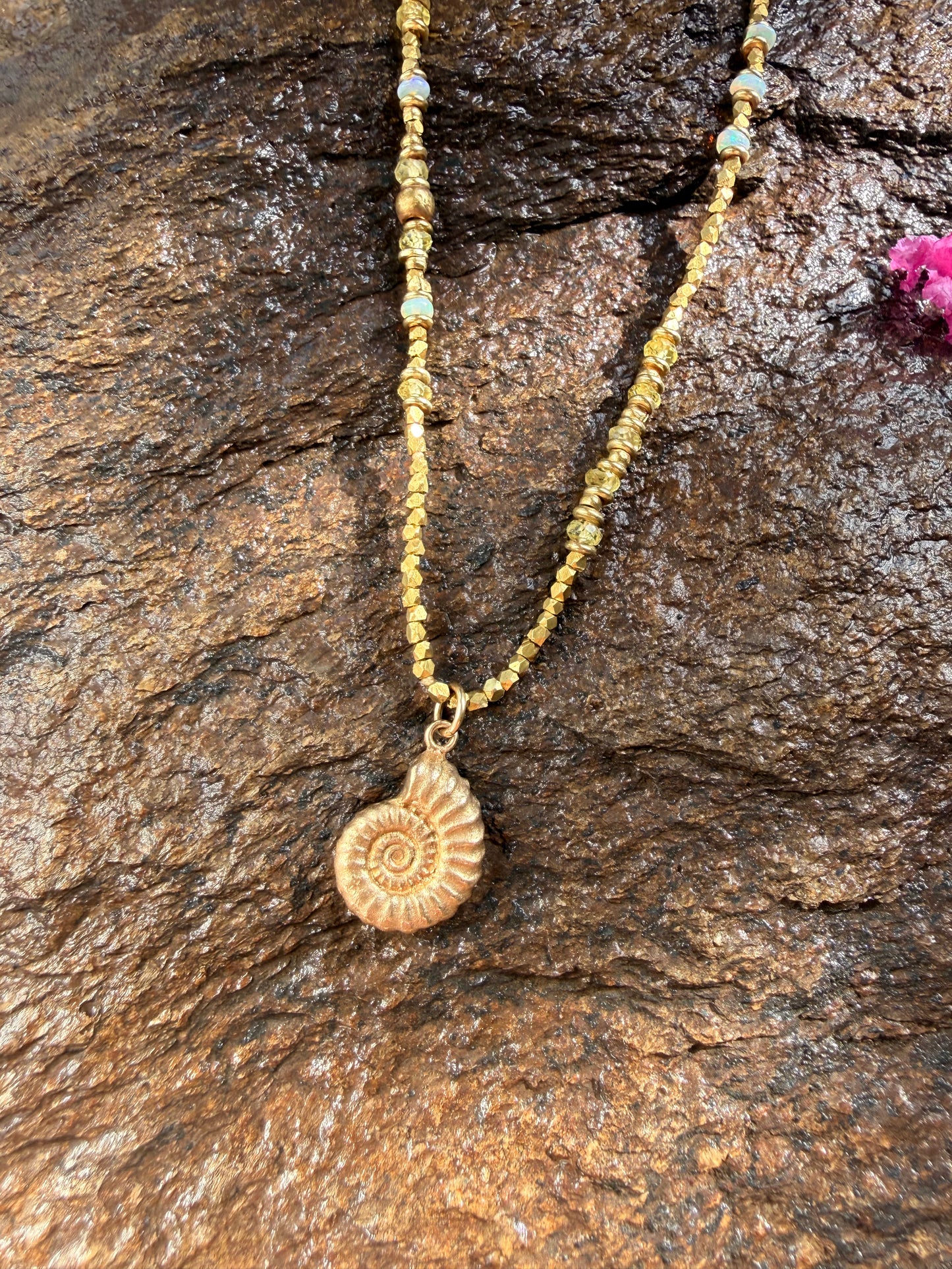 Ammonite + Crystals 🌀