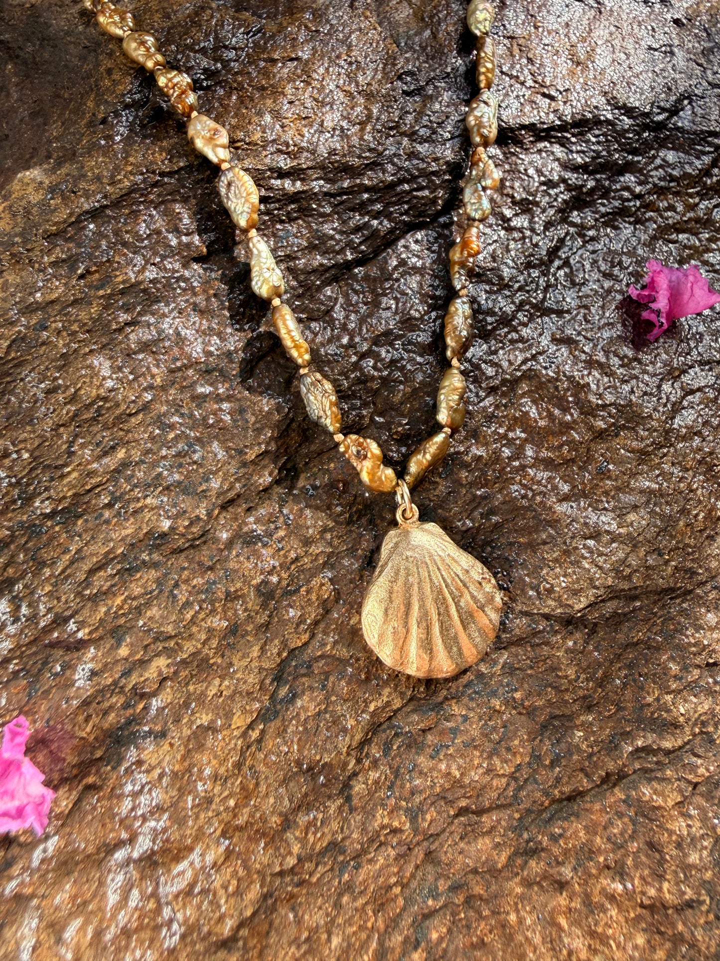 Bronze Sunrise Shell