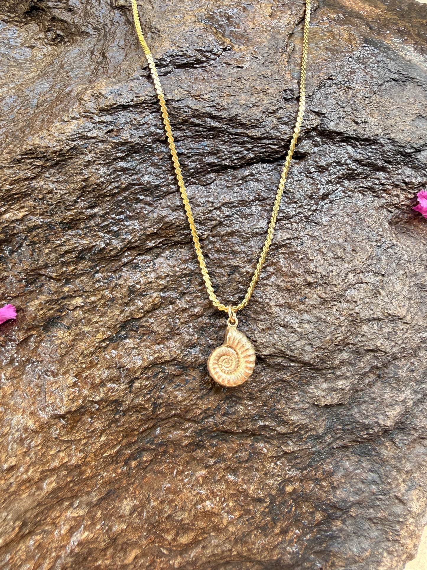 Ammonite + Gold 🌀